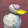 Ducks diaries